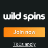 Wild Spins Casino