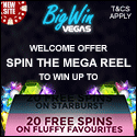 Big Win Vegas